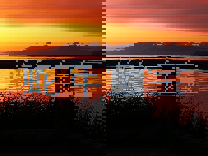 蛇年宝宝