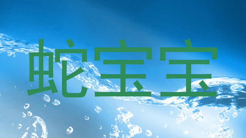 蛇宝宝