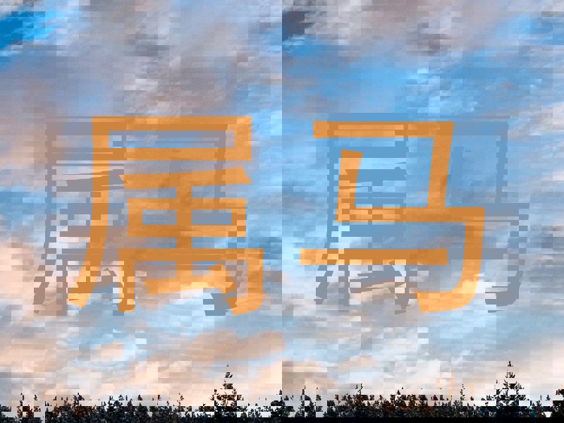 属马
