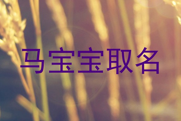 马宝宝取名