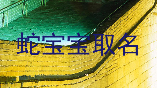 蛇宝宝取名