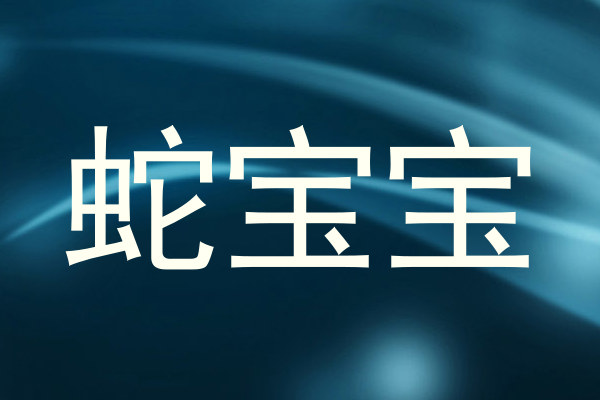 蛇宝宝