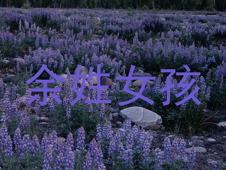 余姓女孩
