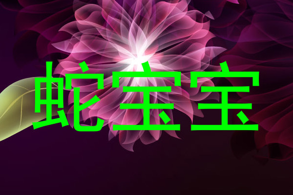 蛇宝宝