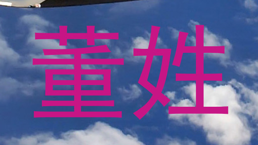 董姓