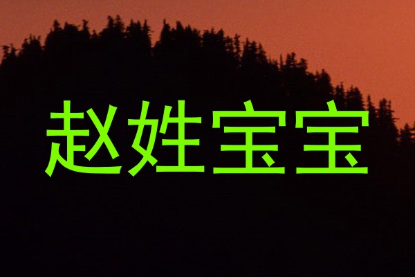 赵姓宝宝
