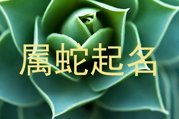 属蛇起名