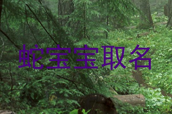 蛇宝宝取名