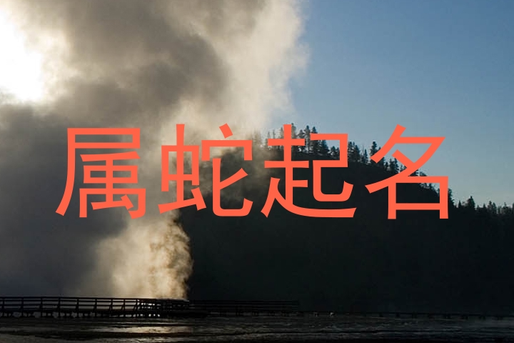 属蛇起名