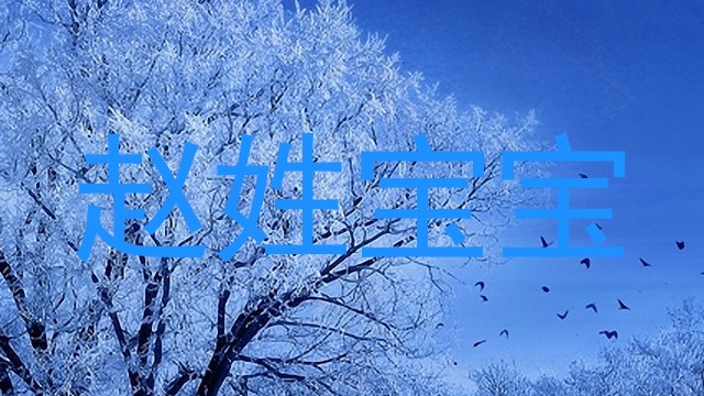 赵姓宝宝