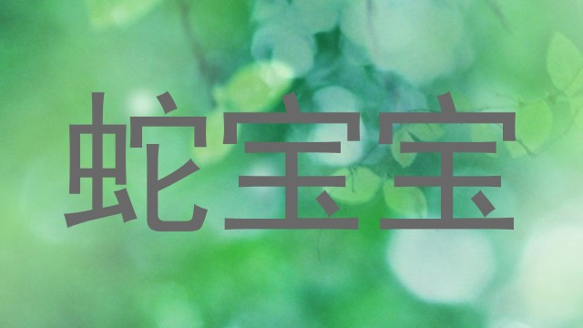 蛇宝宝