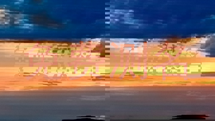 免费测名