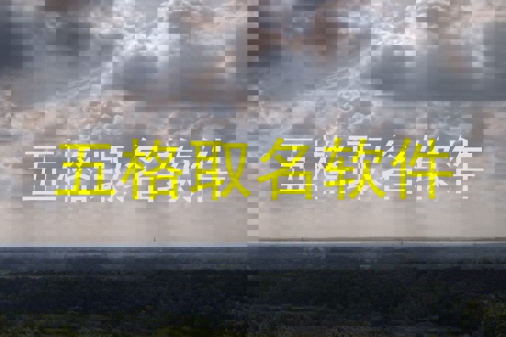 五格取名软件