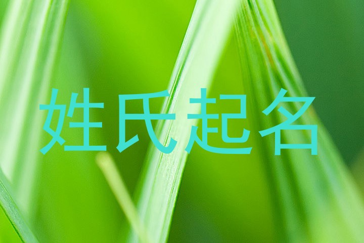 姓氏起名