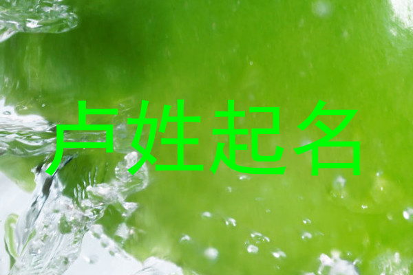 卢姓起名
