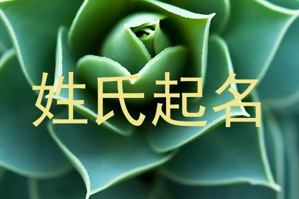 姓氏起名