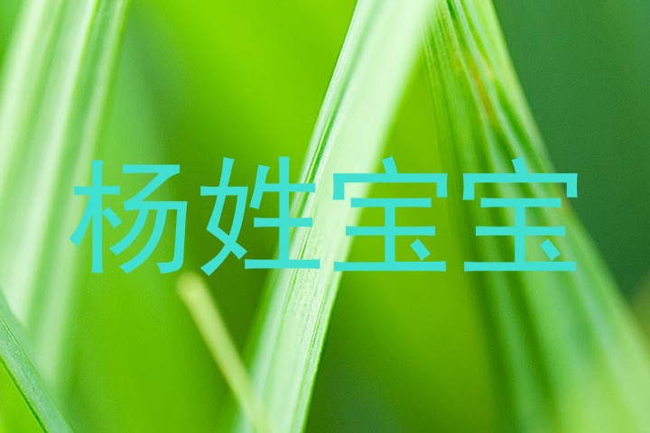 杨姓宝宝