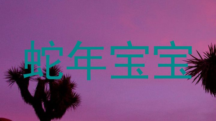 蛇年宝宝
