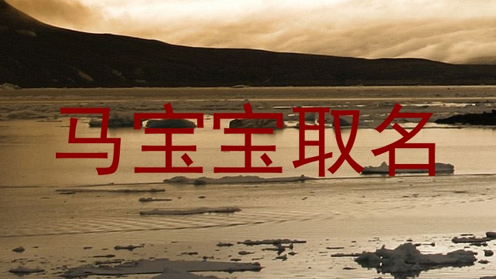 马宝宝取名