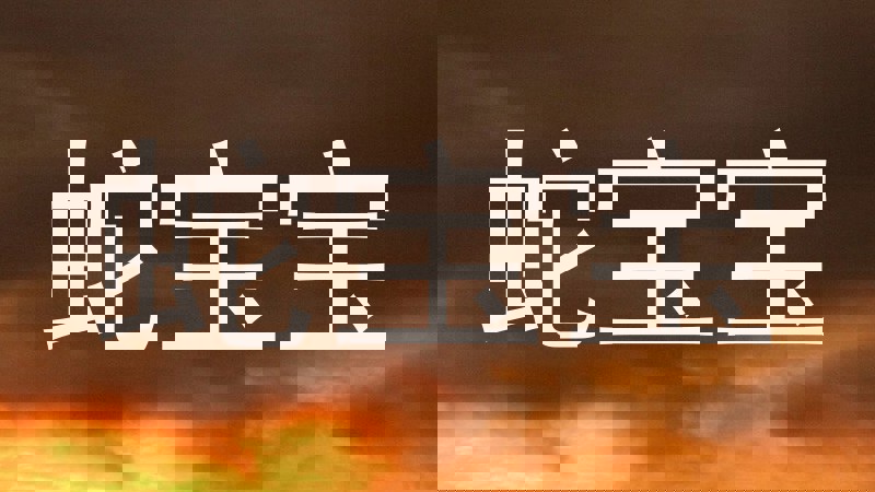 蛇宝宝