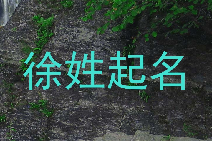 徐姓起名