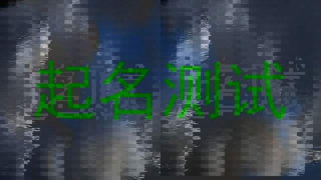 起名测试