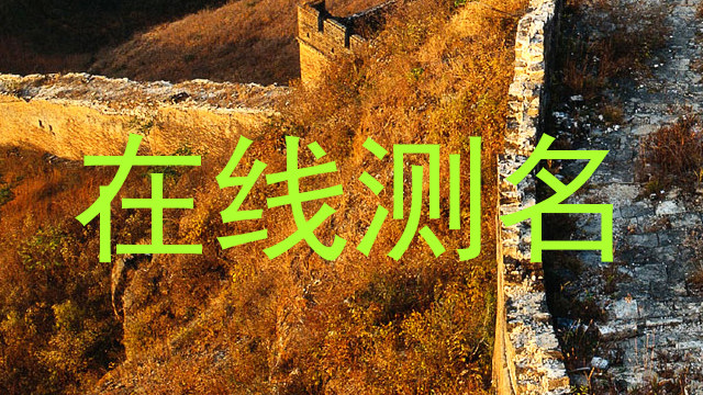 在线测名
