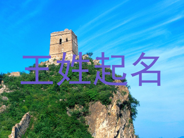 王姓起名