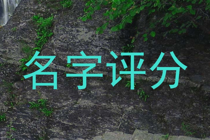 名字评分
