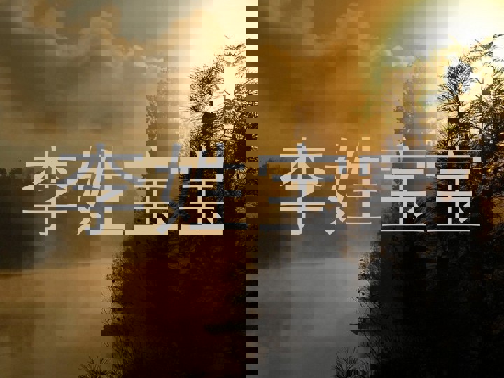 李姓宝宝
