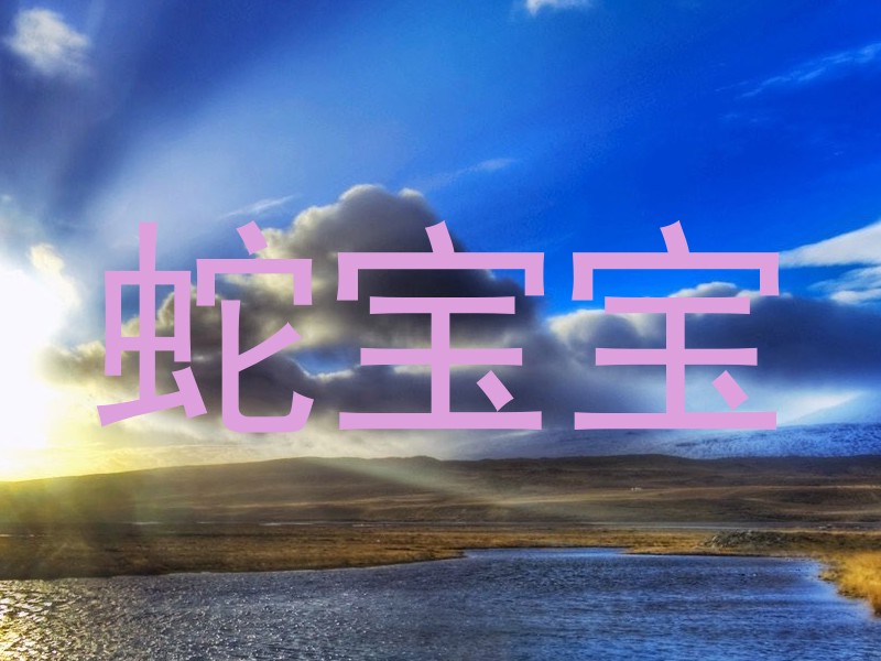 蛇宝宝