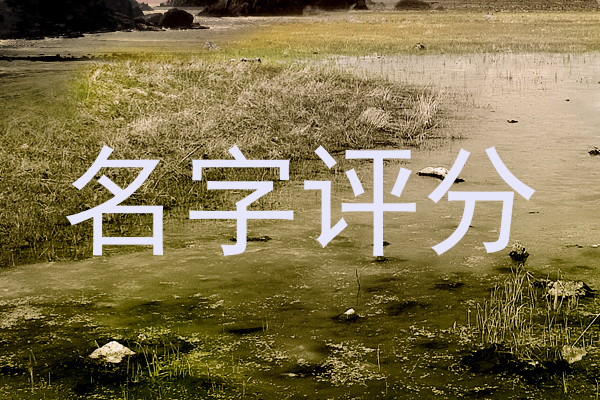 名字评分