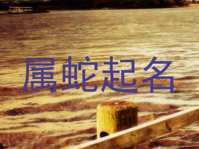 属蛇起名