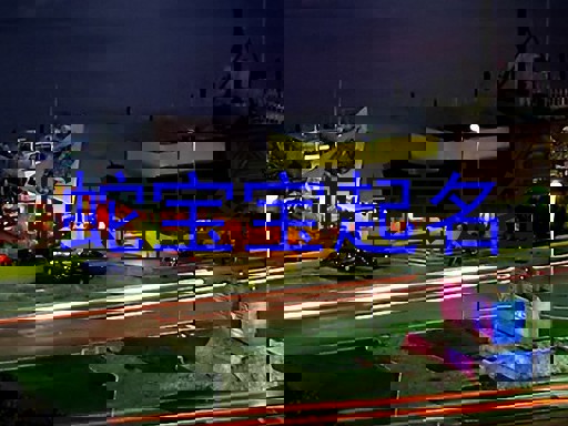 蛇宝宝起名