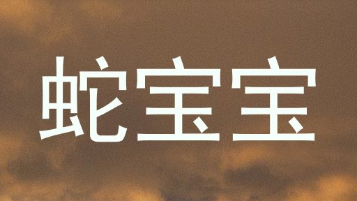 蛇宝宝