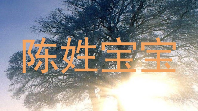 陈姓宝宝