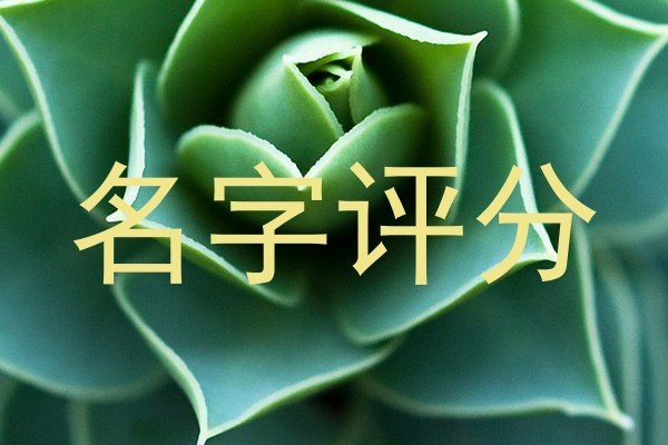 名字评分