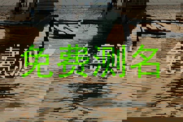 免费测名