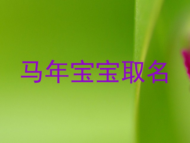 马年宝宝取名