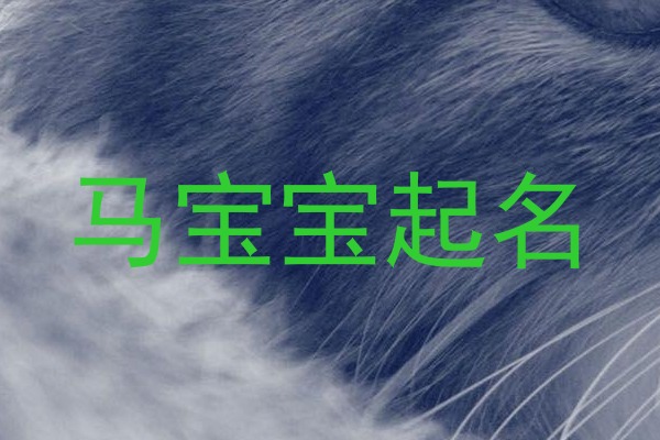 马宝宝起名