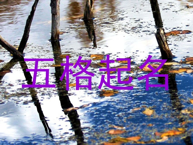 五格起名