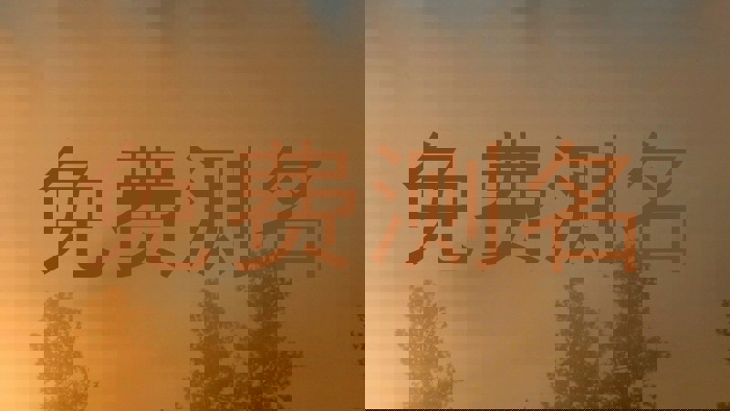 免费测名