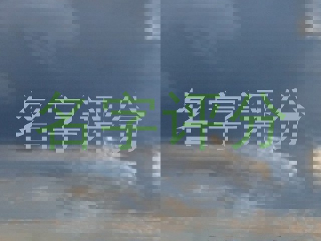 名字评分