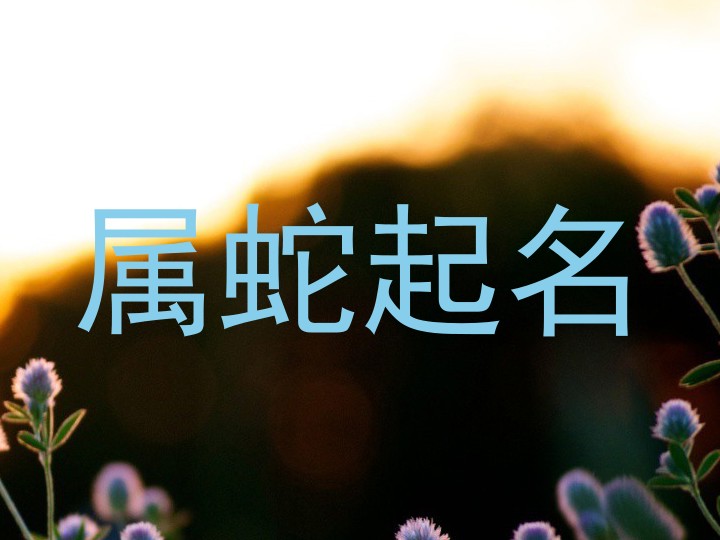 属蛇起名