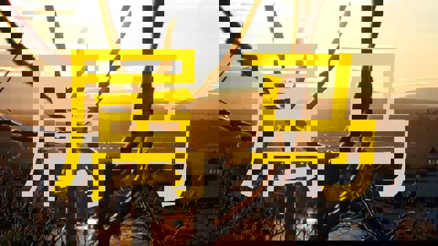 属马