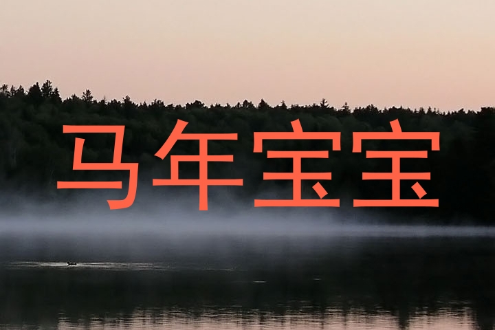 马年宝宝
