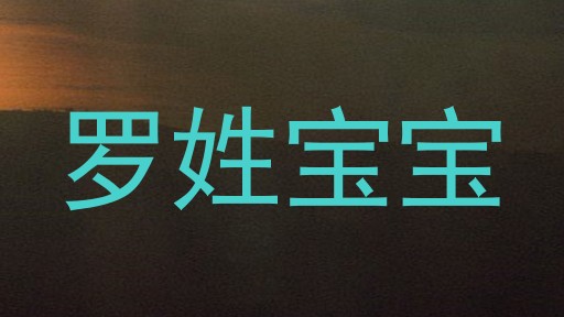 罗姓宝宝