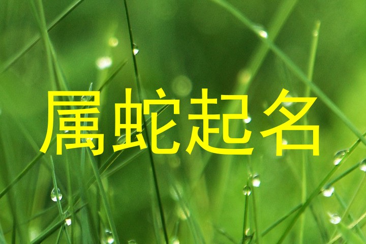 属蛇起名