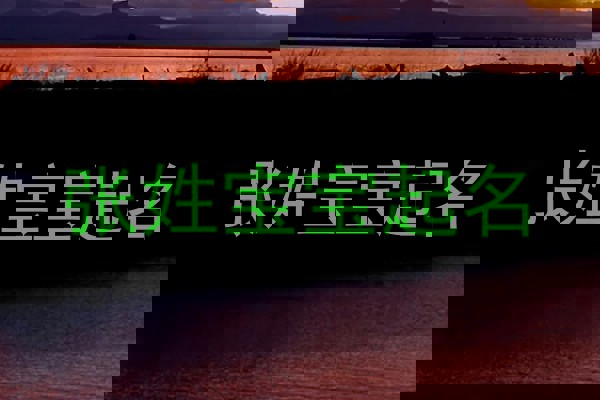 张姓宝宝起名