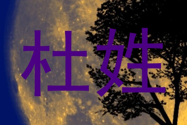 杜姓